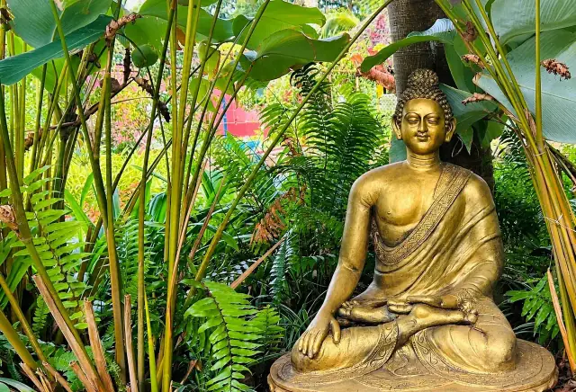 Golden Buddha statue among lotus leaves