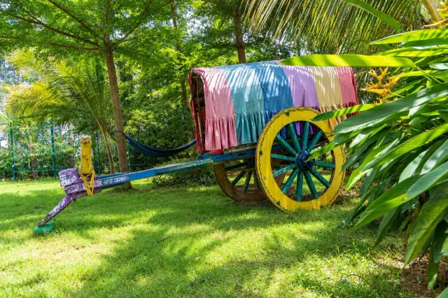 Decorated bullock cart