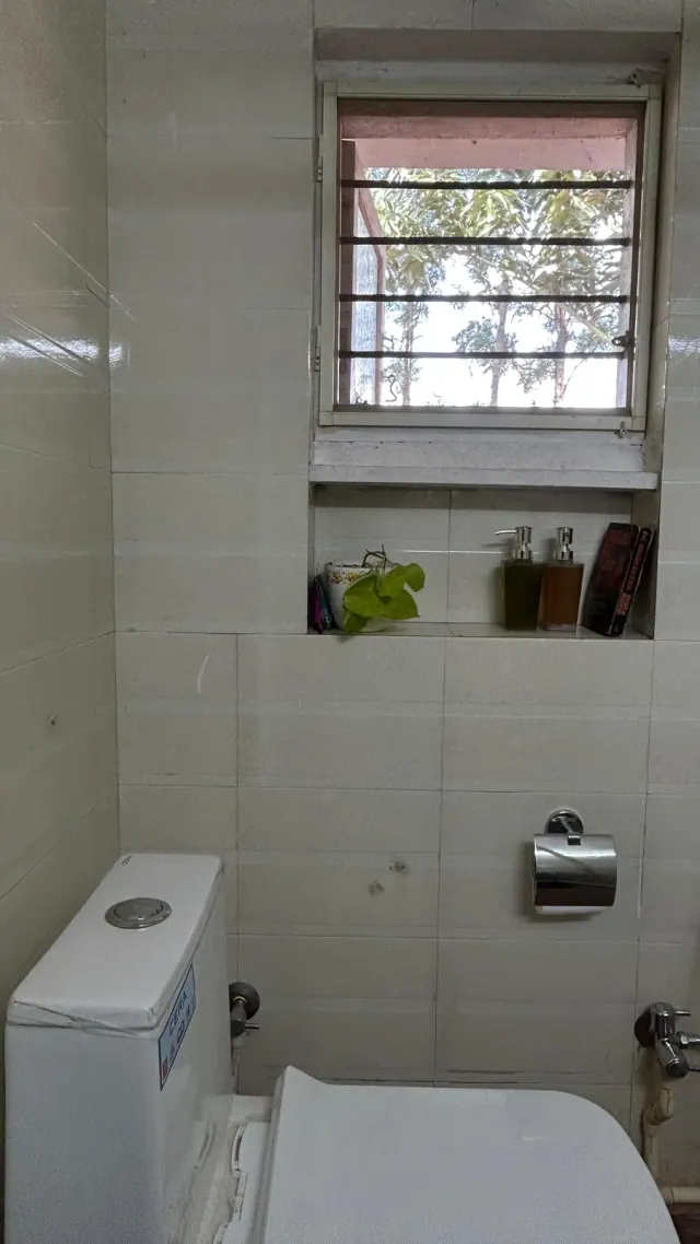 Deluxe AC Cottage — bathroom window over a shelf with a plant