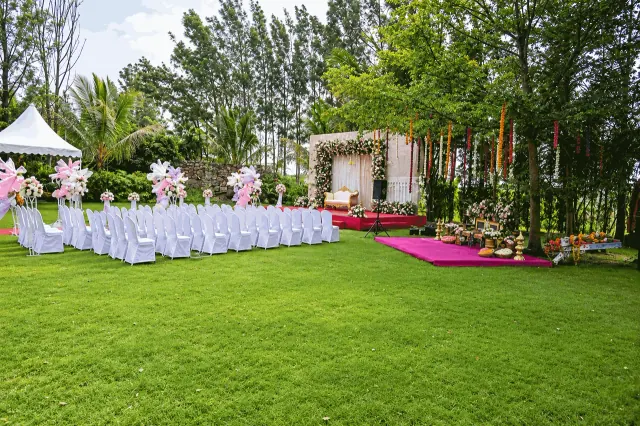 Open-air wedding on the lawn