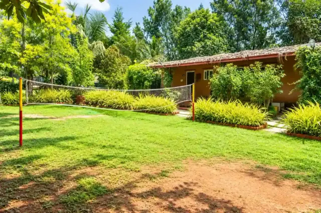 Open lawn beside a cottage