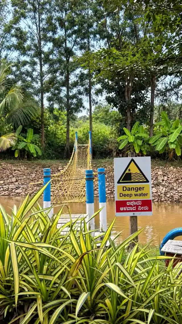 Rope bridge over the water