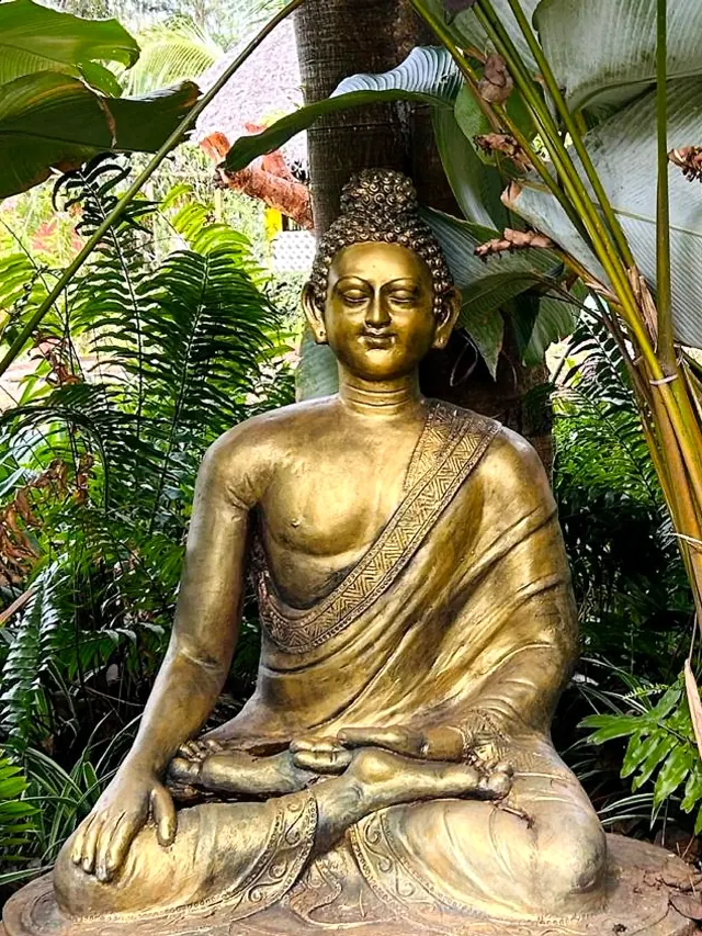 Bronze seated Buddha among ferns and palms in the Zen Garden